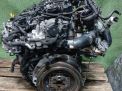  Audi / VW CUV 2.0 TDI ,   2