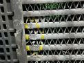  Audi / VW  ,  1.4TSI, 1.6-2.0TDI,   3