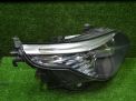  BMW 5- ,  2007 , E60 ,   2