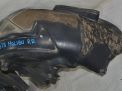    Chevrolet / Daewoo  8  3