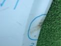   Ford Focus 3,   4