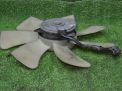    Honda  9 J35Y1 38611RL8A01  4
