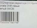   Hyundai / Kia  8,   8