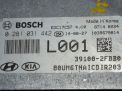    Hyundai / Kia  2 391002FBB0 D4HB  3