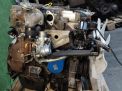  Hyundai / Kia D4BF  2