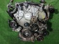 ��������� Hyundai / Kia D6EA ���������� �1