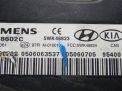   Hyundai / Kia   2