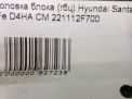   () Hyundai / Kia D4HA D4HB  10