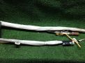    () Hyundai / Kia  3 SL,   1