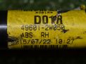      Hyundai / Kia   3 496012W050  2