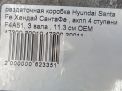   () Hyundai / Kia   1 (11.3 )  7