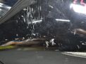    Hyundai / Kia  5, 14  3