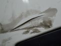    Hyundai / Kia  2, 8 ,  2012  ,   4