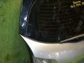     Infiniti / Nissan FX45 S50  3