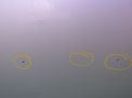    Infiniti / Nissan Q70 , M30d , M35 Y51 ,   3