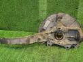    JEEP   4  2