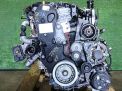  Jaguar 224DT X250  1