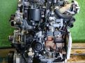  Jaguar 224DT X250  3