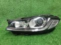���� ����� Jaguar XF II X260 , ������, LHD , � ���������� �1