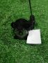    Land Rover  IV 3.0 Tdi 306DT  4