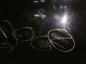    Mercedes-Benz - , W212 , ,  ,   2