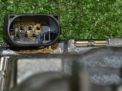   Mercedes-Benz M272 M113 M112  3