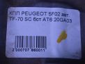  Peugeot 308 , 408 , 3008 1.6 Ti 20GA03  8