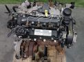  SsangYong 671.950 671950 D20DTF  4
