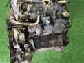  SsangYong 664.951 664951 D20DT EURO III  2