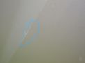  SsangYong   ,  ,   4