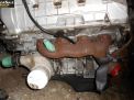  Ford COBRA V-4,6L  4