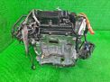  Honda LEB  6
