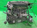  Volvo B5254T10  6